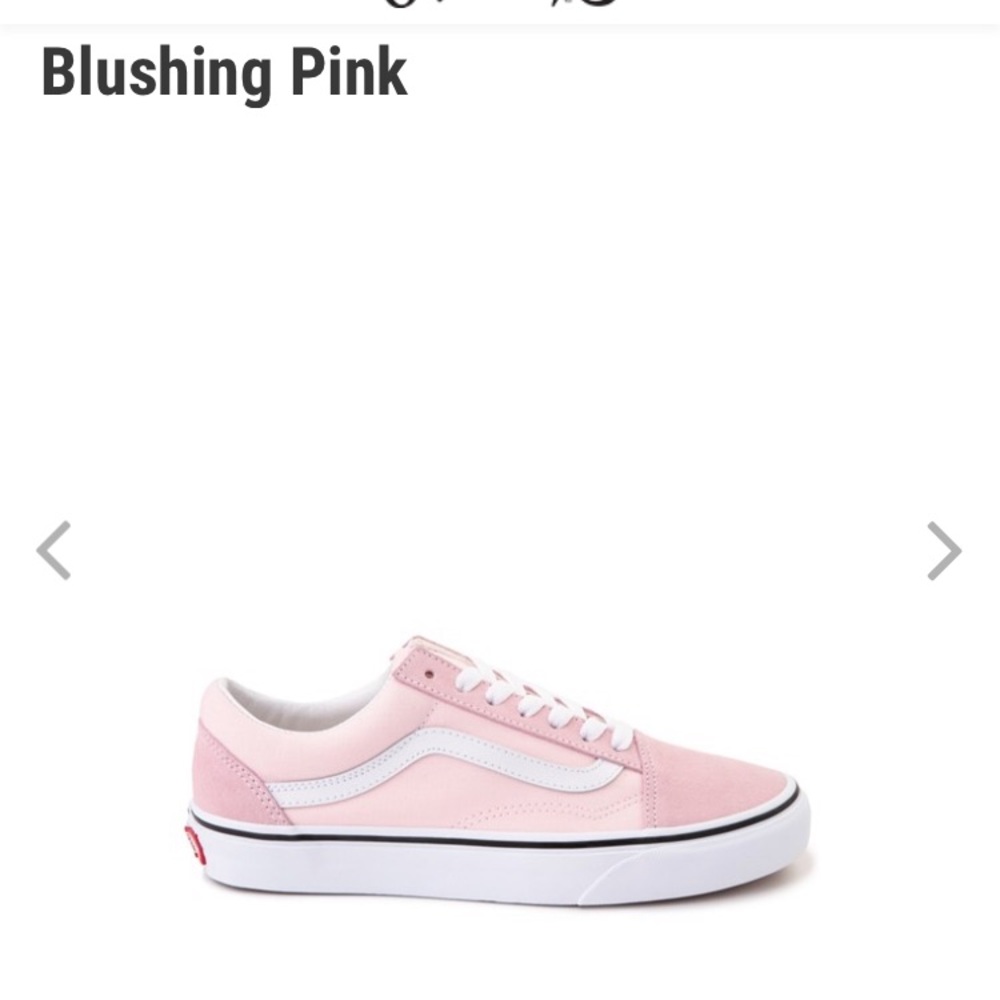 Vans Old Skool Skate Shoes